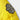 Sauterne Yellow Kids Alpine Puffer logo close up